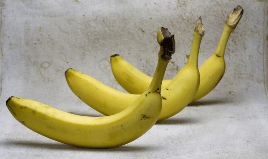 Бананы: все про путешествие из далеких стран