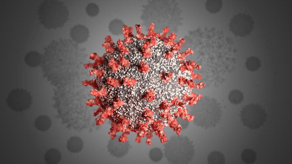 Эпидемиология коронавирусной инфекции (COVID-19)