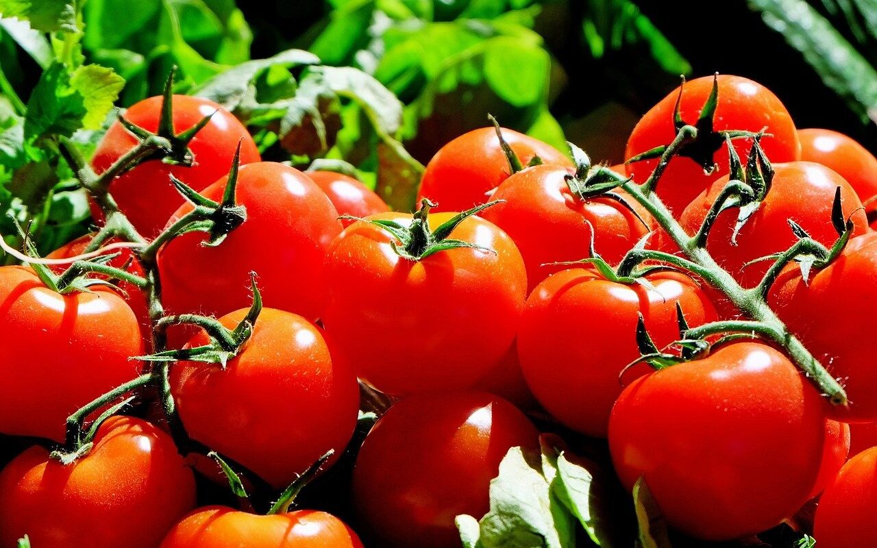 РФ сняла запрет на поставки томатов с некоторых предприятий Азербайджана